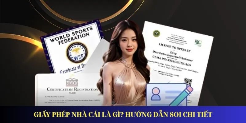 Giấy phép nhà cái là gì? Hướng dẫn soi chi tiết