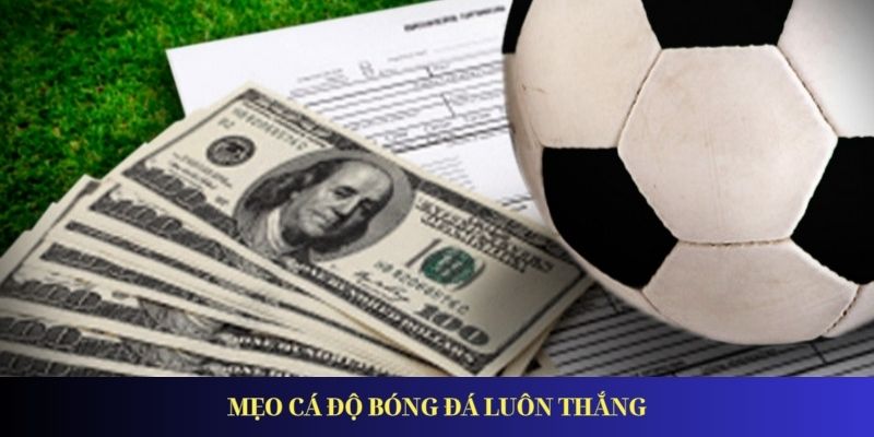 Cách Cá Độ Bóng Đá Chắc Thắng Từ Những Chuyên Gia Mẹo cá độ bóng đá luôn thắng